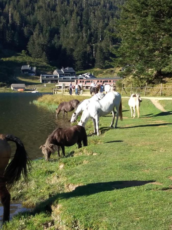 Gite Cosy Lac De Payolle Campan Zewnętrze zdjęcie