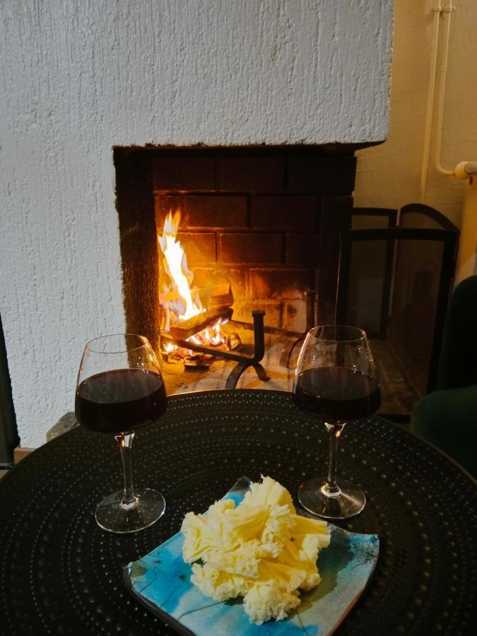 Gite Cosy Lac De Payolle Campan Zewnętrze zdjęcie