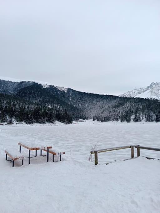 Gite Cosy Lac De Payolle Campan Zewnętrze zdjęcie