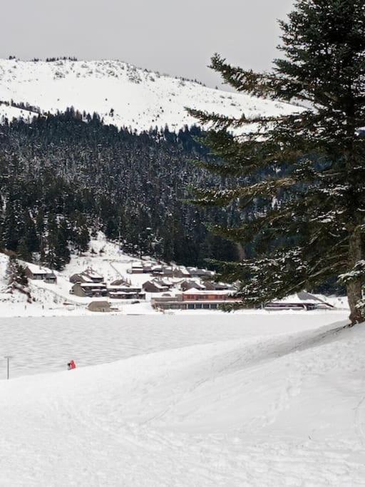 Gite Cosy Lac De Payolle Campan Zewnętrze zdjęcie