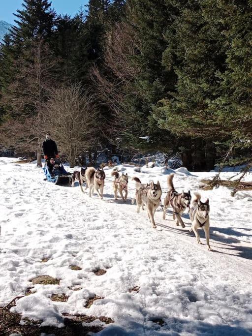 Gite Cosy Lac De Payolle Campan Zewnętrze zdjęcie
